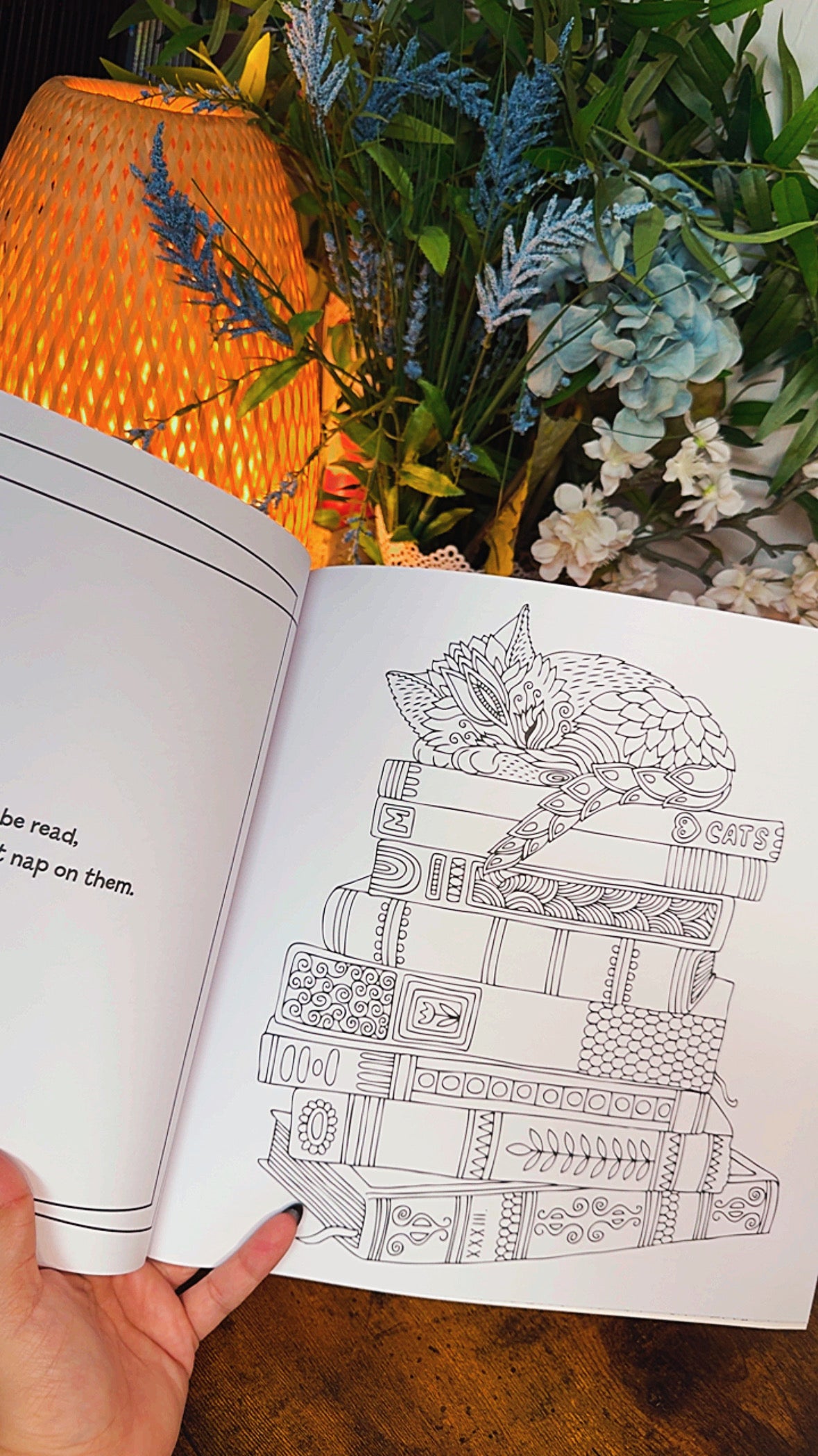 Large Adult Coloring Book for Books and Cat Lovers
